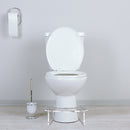 STAUBER Best Potty Stool - Acrylic Squatting Toilet Step Stool- Original Style